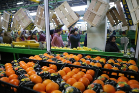 thumbs_b_c_d0a869d0d42e13b7afbbc77de2659fe1