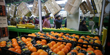 thumbs_b_c_d0a869d0d42e13b7afbbc77de2659fe1