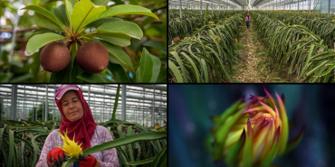 thumbs_b_c_d40ded6d9972520da8e48e25ad1be93a