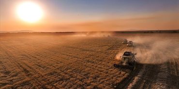 thumbs_b_c_f624c675f0384d1ac533472b477673f2