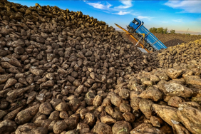 thumbs_b_c_f998b01244eeeee25bac9e66b2aa9150