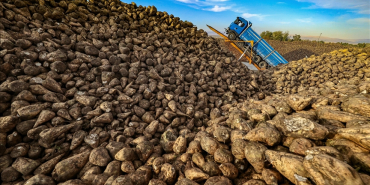 thumbs_b_c_f998b01244eeeee25bac9e66b2aa9150