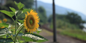 thumbs_b_c_020e9a73629ad63b0a032d07f015bed4