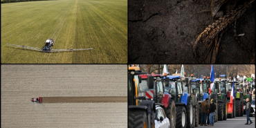 thumbs_b_c_02b39a18f4b992a16f29603199ca2152