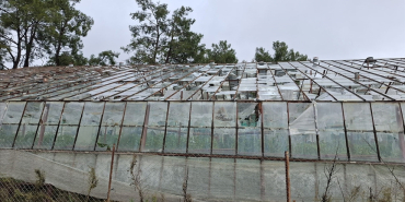 thumbs_b_c_1597177159f0f5bc7038b02a8e922c36