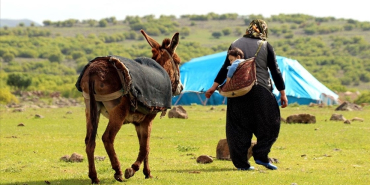 thumbs_b_c_216ba440b38ccb7ab12241ecf412ec27