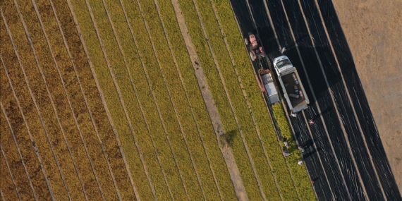 Çiftçilere 19,5 Milyar Lira Tarımsal Destekleme Ödemesi Bugün Yapılacak