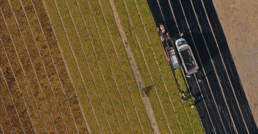 thumbs_b_c_3eab4e65e167262e11ce08fb6dbcc83a