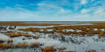 thumbs_b_c_590864b173878adee375a8abd6175215