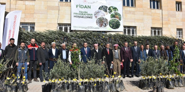 thumbs_b_c_67663437feb48b19101fea8f1ea764f3