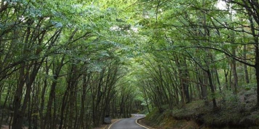 thumbs_b_c_8546642d8af4f13743f0fe3c89f77a4e