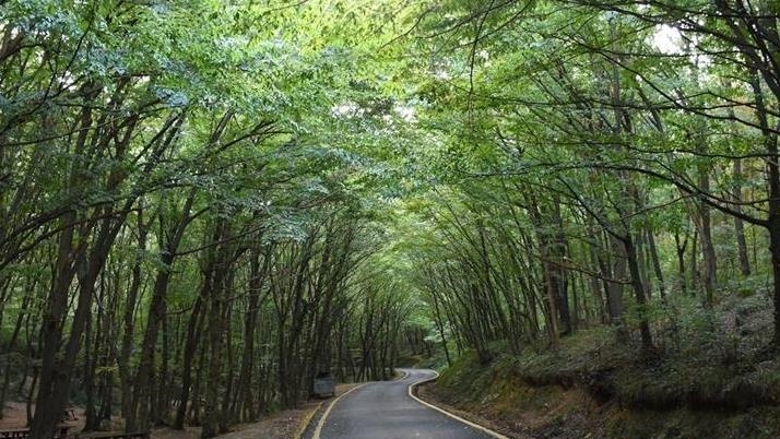 thumbs_b_c_8546642d8af4f13743f0fe3c89f77a4e