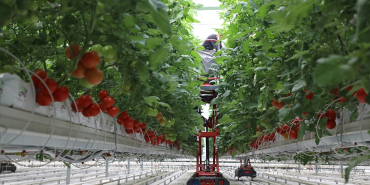 thumbs_b_c_8722c426384e4f0d8dfe0bde1f85422e