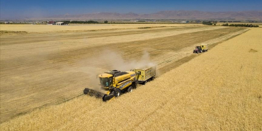 thumbs_b_c_a2636ccedbc26abcef7ecd00da3c19ab