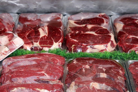 thumbs_b_c_a8336b9d12ecc0754739ee5202ee0e0d