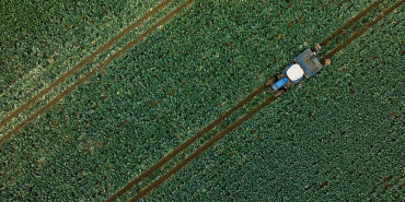 thumbs_b_c_df935af54cf2c0ab331eeb0afe88fed5