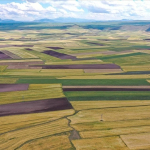 thumbs_b_c_e315305ca15c0aec2f375c826335f8ba