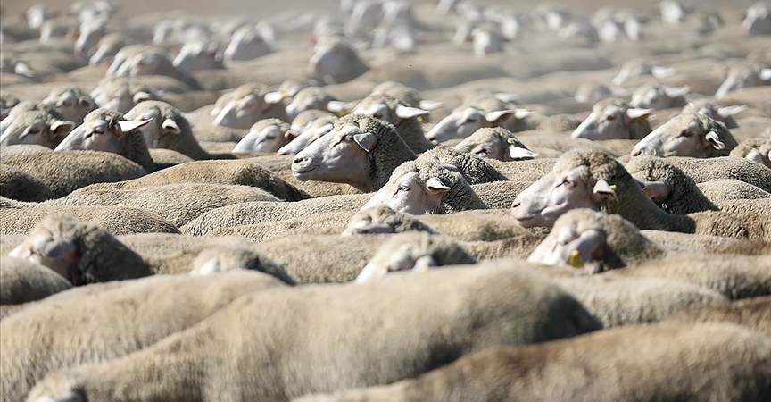 thumbs_b_c_62359a7b0487ccc4ac76f0b479b0b75b