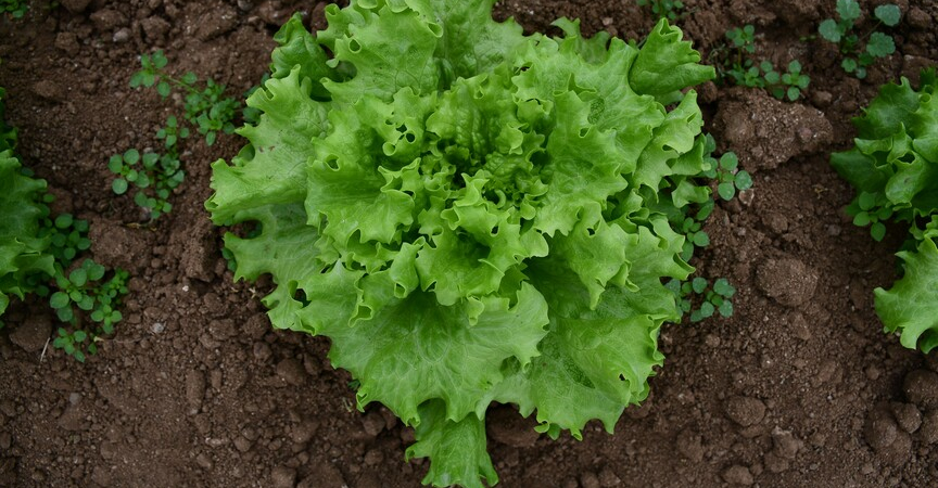 thumbs_b_c_0bcf35aef74fedd2313522d555ba6468