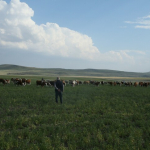 thumbs_b_c_9a904a22ca3635aabf07050ff5d2b6ad