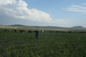 thumbs_b_c_9a904a22ca3635aabf07050ff5d2b6ad