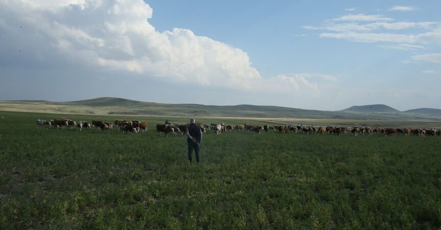 thumbs_b_c_9a904a22ca3635aabf07050ff5d2b6ad