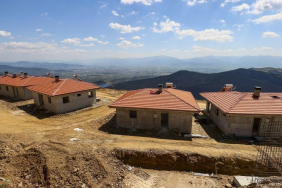 thumbs_b_c_a13c4a417cc7f43438b0003a14614dc0