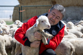 thumbs_b_c_ad142cd7f1b3681ffcae1191e3d0f3c6