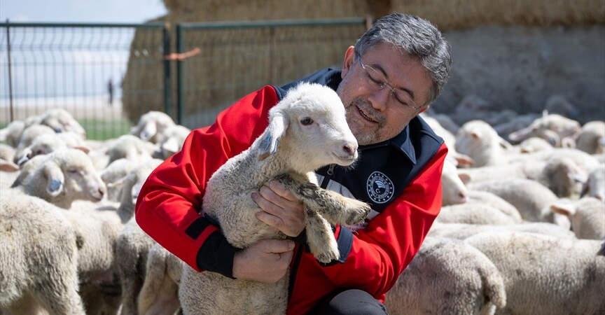 thumbs_b_c_ad142cd7f1b3681ffcae1191e3d0f3c6