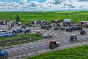 thumbs_b_c_c5a105157de6069824adb034f8805685