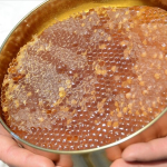 thumbs_b_c_cf1657a4d8f52dc06b6b5a82fa0d4b69