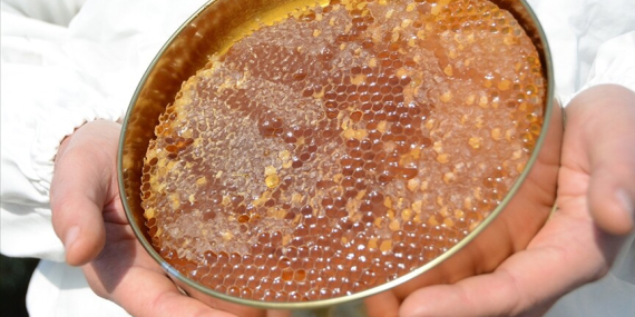 Uygunsuz Balın Piyasaya Girişi “Temel Petek” Düzenlemesiyle Engellenecek