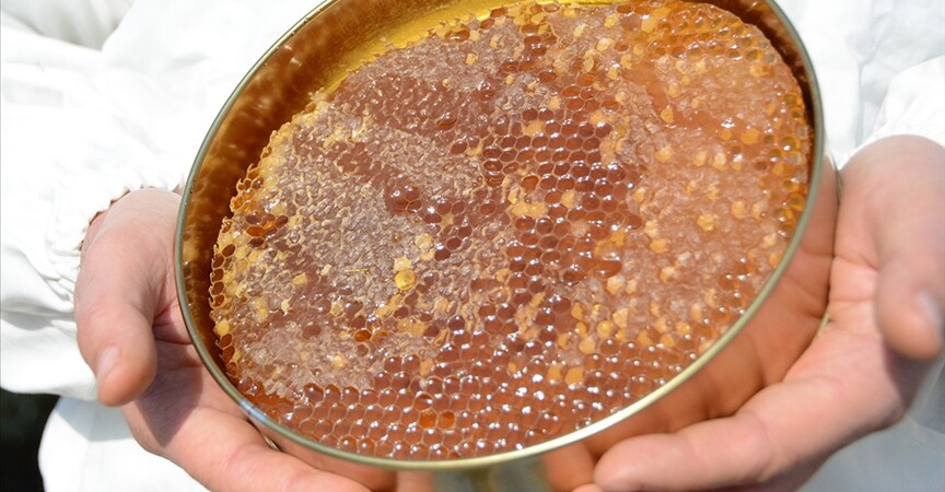 thumbs_b_c_cf1657a4d8f52dc06b6b5a82fa0d4b69