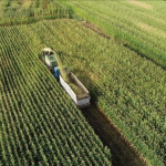 thumbs_b_c_e577c360b0160caecd546ebc2e3709b2