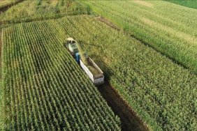 thumbs_b_c_e577c360b0160caecd546ebc2e3709b2