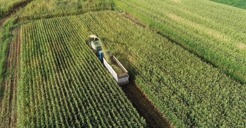 thumbs_b_c_e577c360b0160caecd546ebc2e3709b2