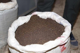 thumbs_b_c_f155fef9499fbc4d1e24fa490fcd6cd7