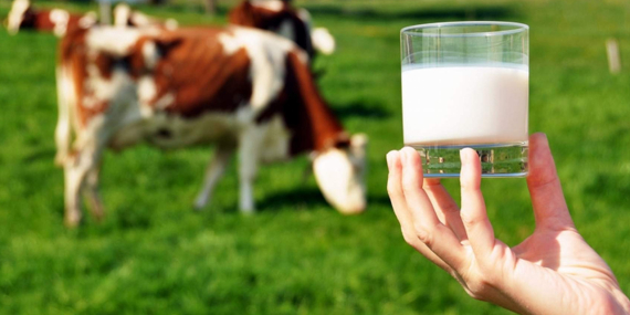 USK Çiğ Süt Tavsiye Satış Fiyatını 2,08 TL Artırdı