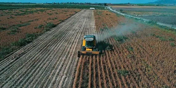 Çiftçilerin Hesaplarına 195,6 Milyon Lira Tarımsal Destekleme Ödemesi Aktarılıyor